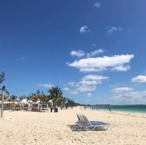 Meet your Posher, Carla